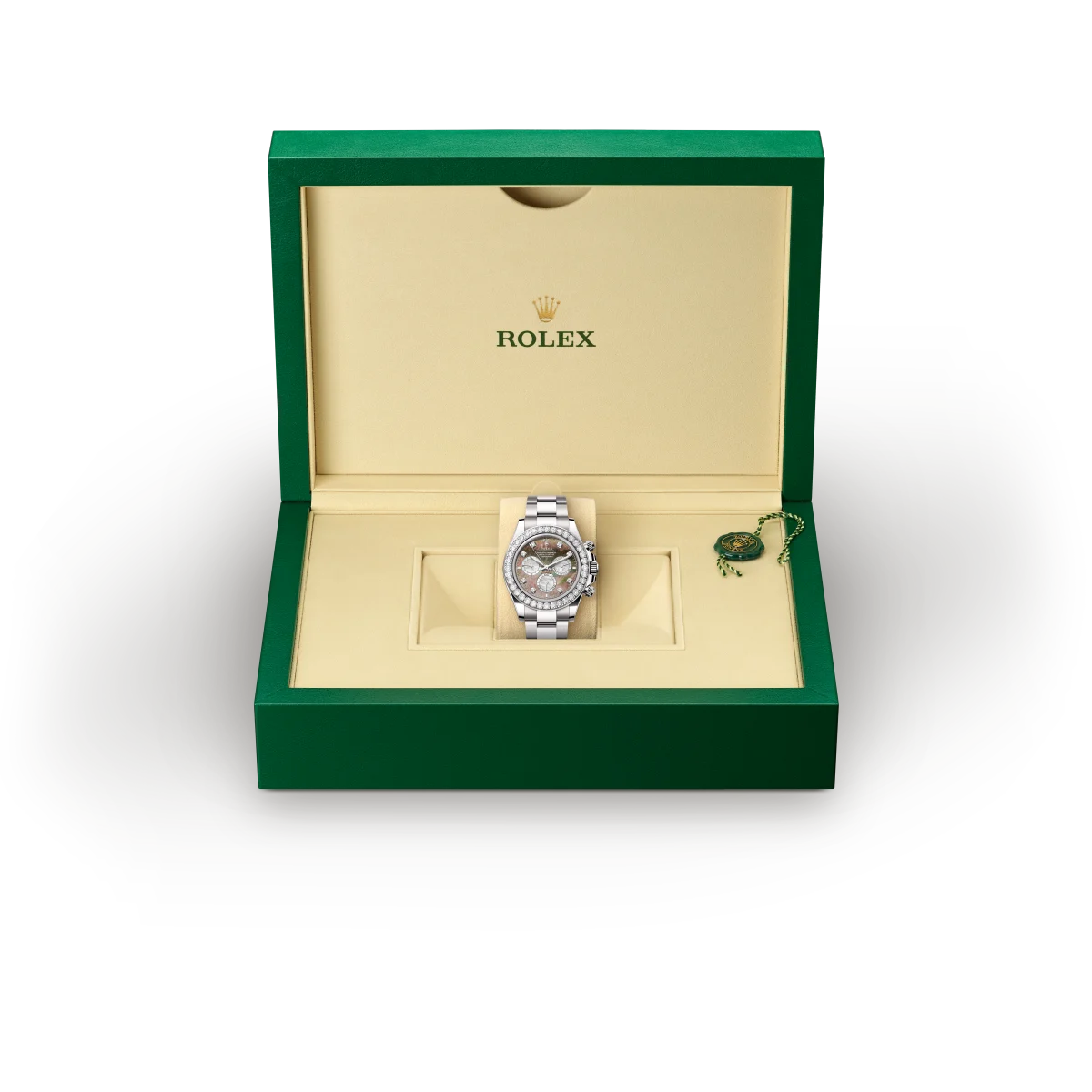 rolex Cosmograph Daytona in 18 ct white gold, M126579RBR-0001 - Boglietti Gioielliere